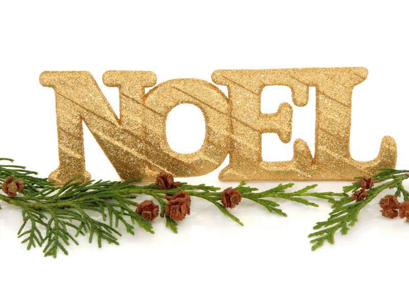 Bảng giá các loại quà Giáng Sinh chỉ mang tính chất tham khảo (Christmas gift price list - for reference only)