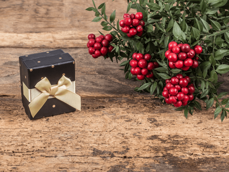 Quà tặng Giáng Sinh cho trẻ em (Christmas gifts for children)